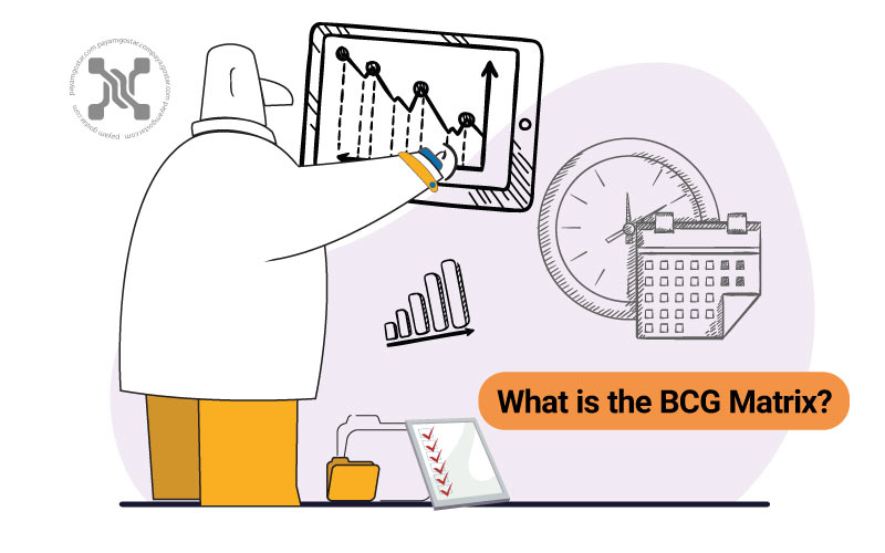 ماتریس BCG یک استراتژی برای تجزیه و تحلیل محصول با توجه به رشد و سهم نسبی بازار ارائه می‌دهد.