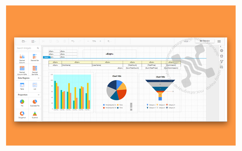 طراحی گزارش های متنوع