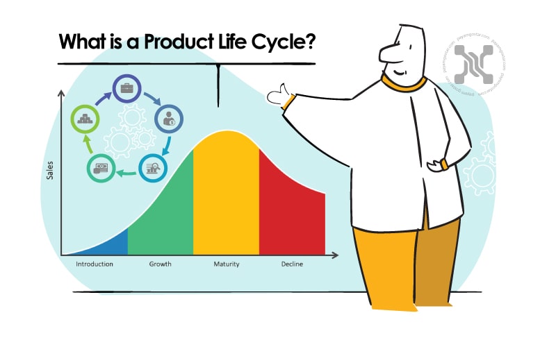 چرخه عمر محصول عبارت است از مدت زمانی که یک محصول از عرضه به بازار تا خروج از قفسه ها میگذراند .